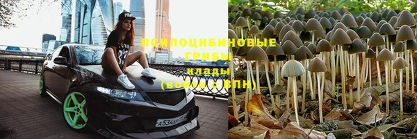 соль ск Верхний Тагил