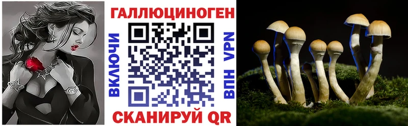 Псилоцибиновые грибы MAGIC MUSHROOMS  Таганрог 